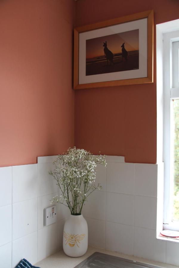Beautiful Apartment In Guildford With Parking Send Kültér fotó