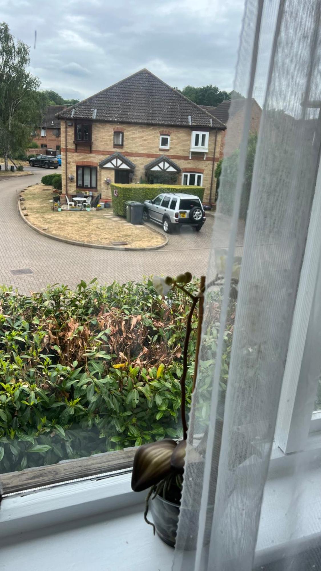 Beautiful Apartment In Guildford With Parking Send Kültér fotó